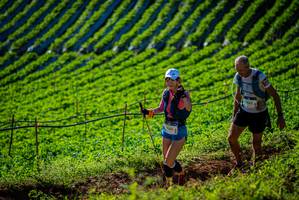 BIB: 2819, 9541
                            <button type="button" onclick="openModal(19160552)" class="btn btn-primary btn-sm float-right btn-popup" data-toggle="modal" data-target=".modal-high-quality">
                        <i class="fas fa-shopping-cart"></i> Add to Cart
                    </button>
                                            <button type="button" onclick="isThisMe(19160552, true)" class="btn btn-success btn-sm float-right btn-popup btn-isme hidden" data-toggle="tooltip" data-placement="bottom" title="นี่คือรูปของคุณใช่ไหม คลิกที่นี่เพื่อเอาเข้าอัลบั้ม">
                        <i class="fas fa-plus"></i> Add to album
                    </button>
                    <button type="button" onclick="isThisMe(19160552, false)" class="btn btn-warning btn-sm float-right btn-popup btn-isnotme hidden">
                        <i class="fas fa-ban"></i> Remove from album
                    </button>